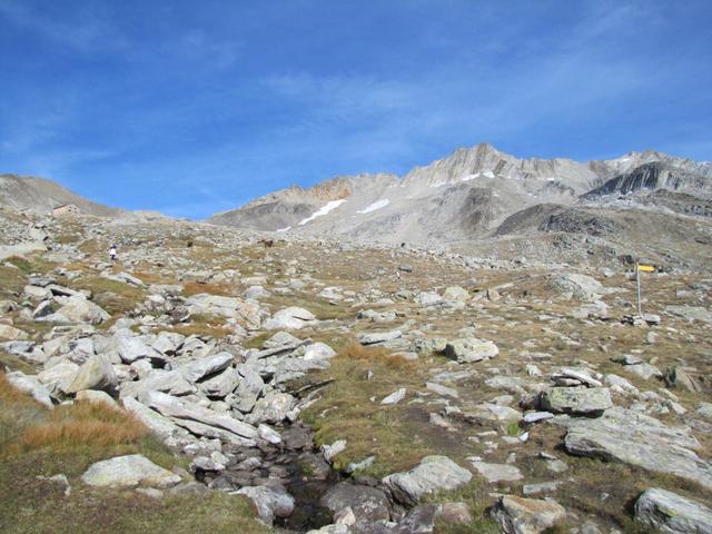 wir haben Punkt 2784 m.ü.M. erreicht. Hier stösst der andere Weg von der Almagelleralp hinzu