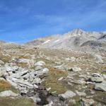 wir haben Punkt 2784 m.ü.M. erreicht. Hier stösst der andere Weg von der Almagelleralp hinzu