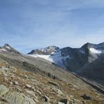 Blick zum Rotblattgletscher und Sonnighorn