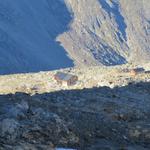 Blick hinunter zur Almagellerhütte