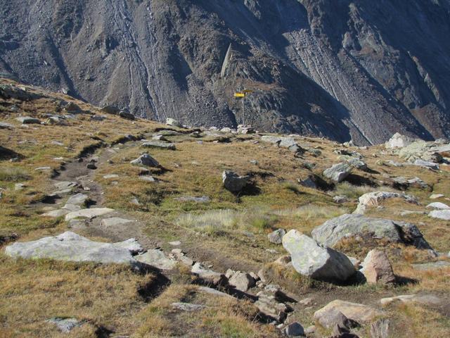 kurz vor der Wegkreuzung bei Punkt 2784 m.ü.M.