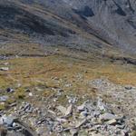 gut ersichtlich der Bergweg der uns ins Tal runter führen wird