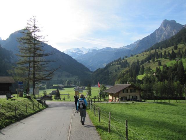 ein kurzer Stück sind wir danach gelaufen. Blick auf die Blüemlisalp