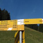 Wegweiser bei Ramslauenen 1420 m.ü.M.