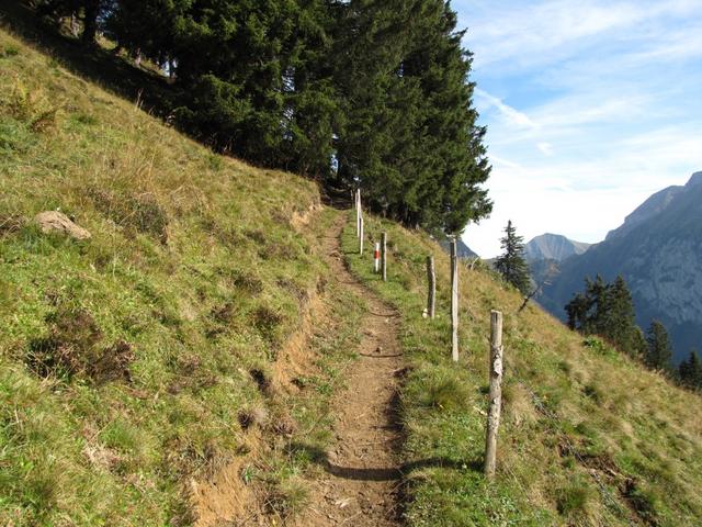 und Weiden führt der Weg stetig aufwärts