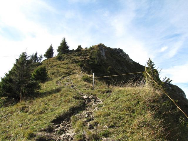 an der steilen Grasflanke geht es weiter aufwärts