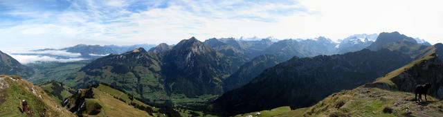 sehr schönes Breitbildfoto vom Kiental. In der mitte das Dreigestirn, rechts die Blüemlisalp