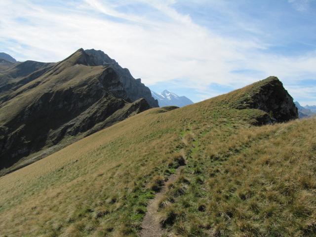 Blick auf den Gegenanstieg den wir noch vor uns haben