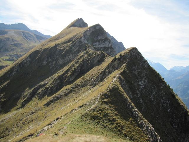 auf dem Giesigrat bei Punkt 2059 m.ü.M.