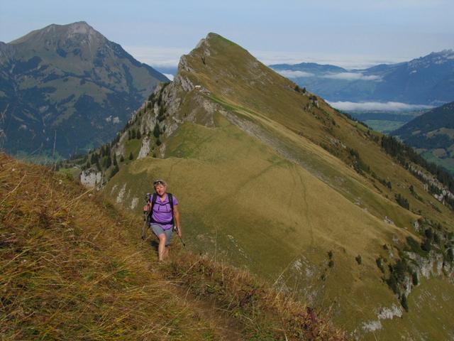 Blick zum Mäusi, Rüederigsgrat und Gehrihorn