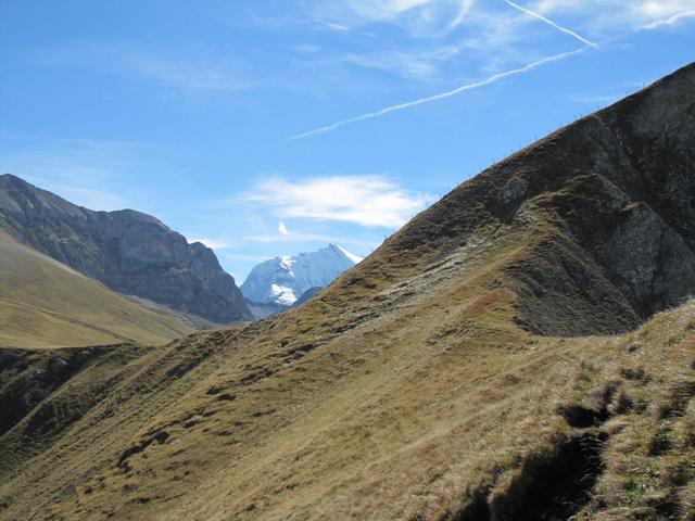 der Bergweg führt nun an der Flanke des Sattelhore vorbei