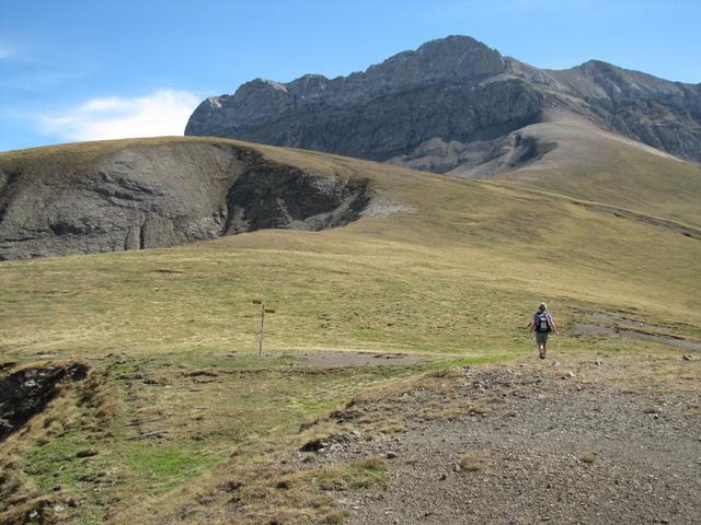 auf dem breiten Sattel des Giesegrat