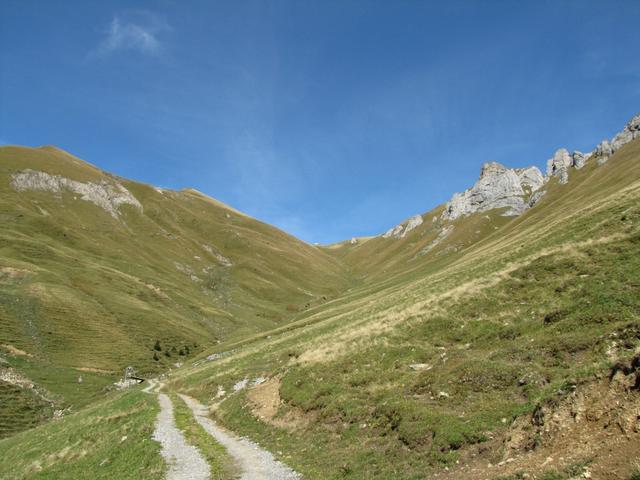 auf der Alpstrasse die uns nach Buchsegge führt, mit Blick zurück zum Giesegrat