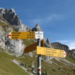 Wegweiser bei Alp Ober Giesenen 1953 m.ü.M.