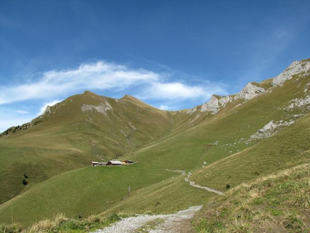 Blick zurück. Links der Sattelhore, Giesegrat und die Alphütten von Buchsegge
