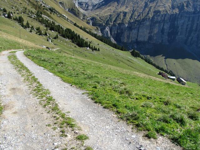 über die Alpstrasse geht es unaufhaltsam abwärts...