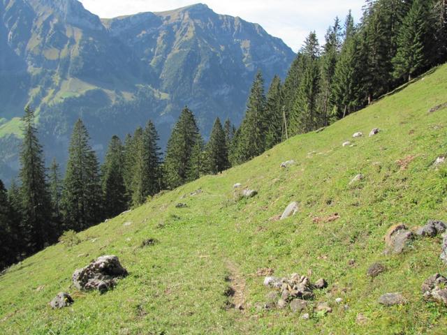 führt der Wanderweg gnadenlos abwärts. Bei Punkt 1442 m.ü.M.