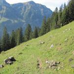 führt der Wanderweg gnadenlos abwärts. Bei Punkt 1442 m.ü.M.