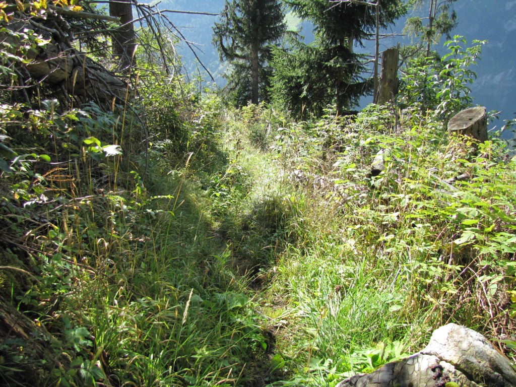 zum teil ist der Bergweg schlecht sichtbar. Sollte aber kein Problem verursachen