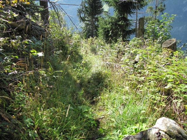 zum teil ist der Bergweg schlecht sichtbar. Sollte aber kein Problem verursachen