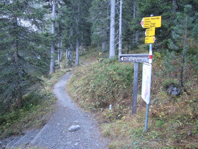 hier bogen wir vor ein paar Wochen links ab (Valbella- und Schiesshorn)