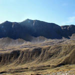 schönes Breitbildfoto der Alp Ramoz und den umliegenden Bergen. Links der Valbellahorn