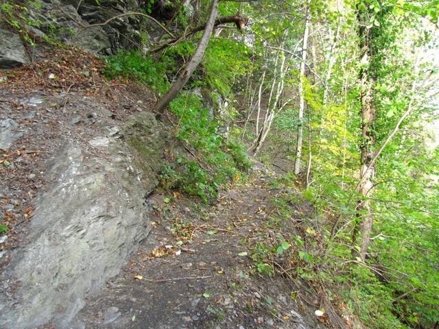 durch einen schönen Wald geht der Weg nun steiler weiter aufwärts