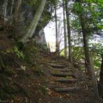 die letzten Stufen vor dem Wasserfall