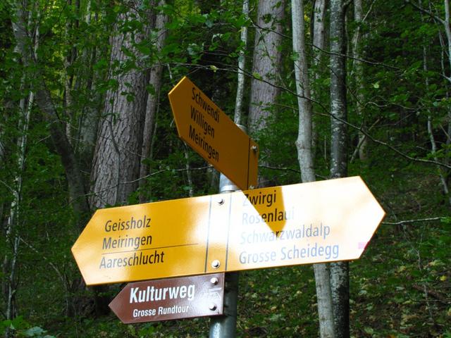 Wegweiser im Wald