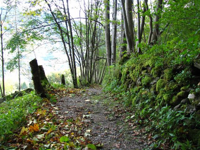 der Weg führt nun abwärts Richtung Geissholzlouwenen