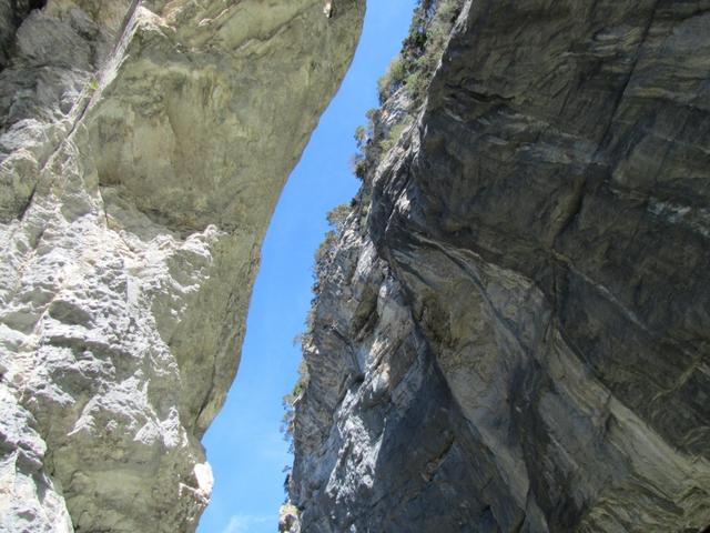 die Schlucht ist meistens sehr schmal