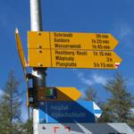 Wegweiser bei Alpbach 620 m.ü.M. Es geht Richtung Hasliberg/Reuti (Felspfad Alpbachschlucht)
