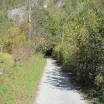 links am Milibach führt der Weg aufwärts, danach schwenkt der Weg links in den Wald hinein