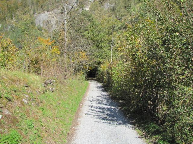 links am Milibach führt der Weg aufwärts, danach schwenkt der Weg links in den Wald hinein