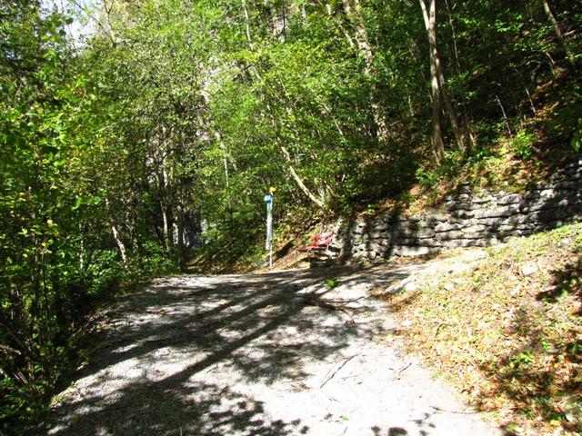 bei der fünften Kehre, verlassen wir den breiten einfachen Wanderweg