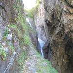 wir nähern uns immer mehr dem Wasserfall. Die Luft wird immer feuchter