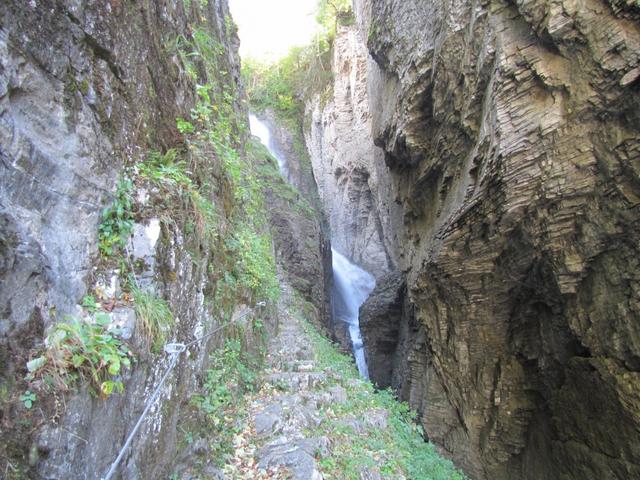 wir nähern uns immer mehr dem Wasserfall. Die Luft wird immer feuchter