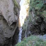 Tiefblick in die Alpbachschlucht