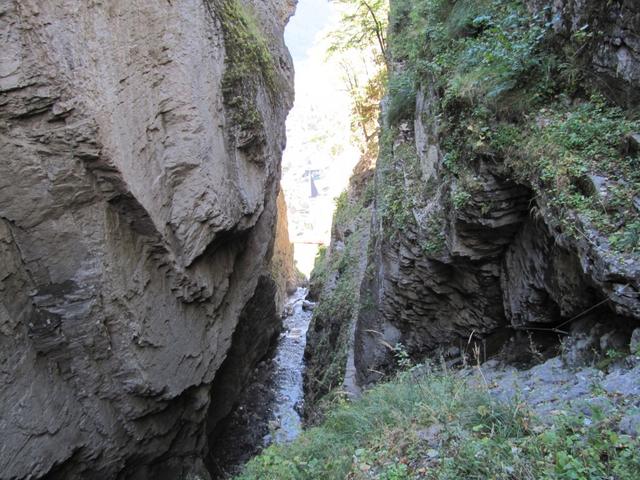 Tiefblick in die Alpbachschlucht