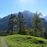 Breitbildfoto auf Engelhörner, Rosenhorn, Wellhorn, Wetterhorn und Meiringen