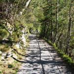 auf breitem Waldweg geht es hinunter nach Meiringen