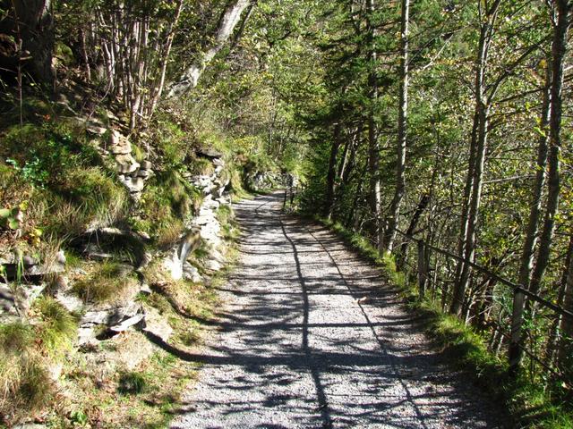 auf breitem Waldweg geht es hinunter nach Meiringen