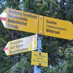 über den Rengglipass führt unsere heutige Wanderung zum Morgenberghorn