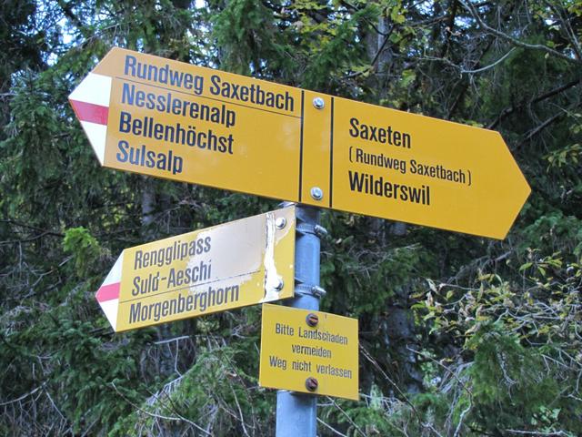 über den Rengglipass führt unsere heutige Wanderung zum Morgenberghorn