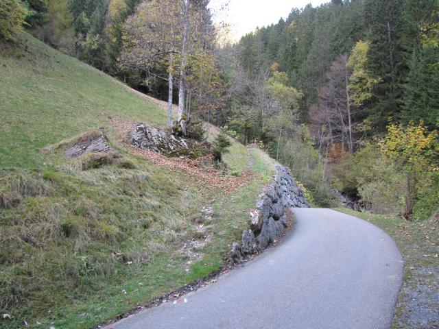 die Bergstrasse wird zweimal überquert