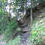 durch einen schönen Waldweg führt der Wanderweg gemächlich aufwärts