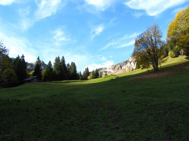 bei ca. Punkt 1470 m.ü.M. treffen wir auf die ersten Sonnenstrahlen