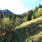 weiter geht unsere Wanderung Richtung Rengglipass