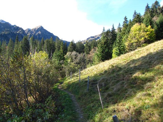 weiter geht unsere Wanderung Richtung Rengglipass