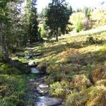 der Wanderweg ist immer gut ersichtlich und markiert